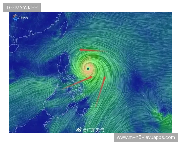 台风后惠州海滩生态复苏,海鲜大丰收,惠州台风预警