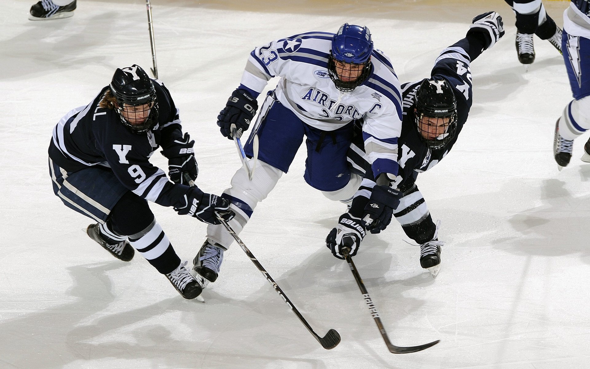 教练专栏：名帅谈球队文化建设与长期竞争力，球队文化要素